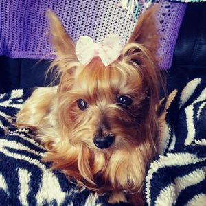 Meet your Posher, Lori